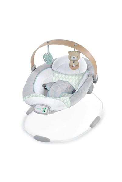 Ingenuity Cozy Spot Soothing Baby Bouncer,