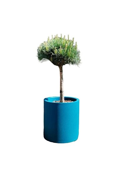 Riviera flower pot, blue, 50 cm