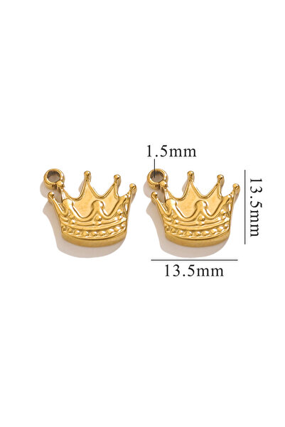 Choice GF 10 قطع من الفولاذ المقاوم للصدأ على شكل تاج صغير لطيف على شكل زهرة ...