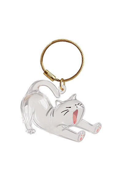 Choice A New Transparent Pet Hair Storage Box,Cat & Dog Hair Storage Capsule ...