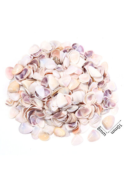 Choice Style14 (حقيبة بها 500 قطعة) 1 صندوق/حقيبة أصداف بحرية 466 قطعة خرز صد...