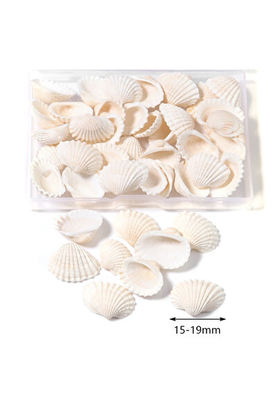 Choice13 Style R 17-19pcs 1 Box Sea Shells Spiral Shell Tiny Ocean Spiral Sea...