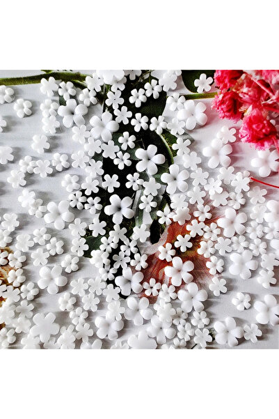 Choice 100pcs 100pcs Japanese White Small Flower Nail Art Charms 3D Resin 5Pe...
