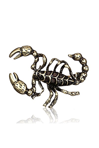 RINHOO FRIENDSHIP دبوس بروش على شكل عقرب عتيق من حجر الراين للنساء والرجال BC...