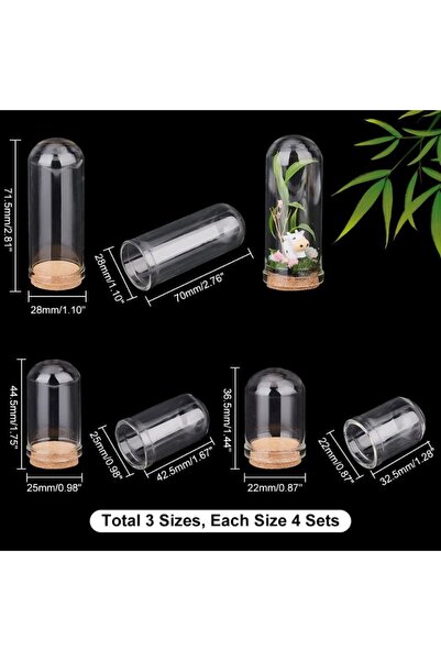 Choice AECH07-03088 12 قطعة من قبة عرض زجاجية، 3 أحجام من جرة الجرس الزجاجية ...