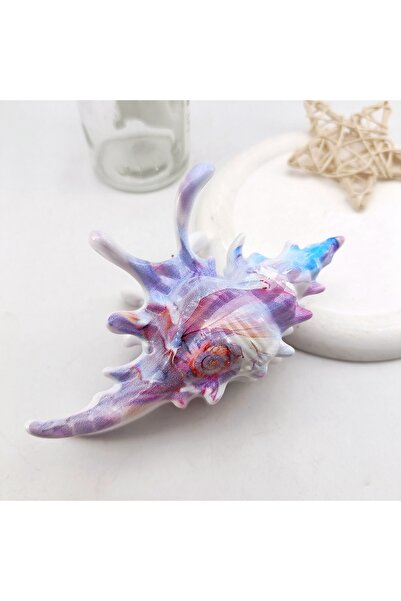 Choice Hair Claws 04 High Quality Plastic Wave Crab Claw Clips conch ocean de...