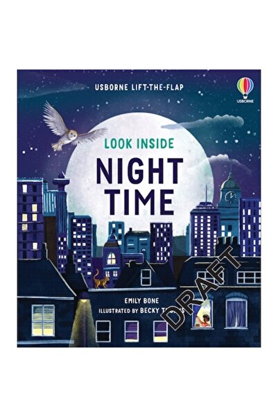 Usborne Look Inside Night Time - Look Inside Night Time flap book