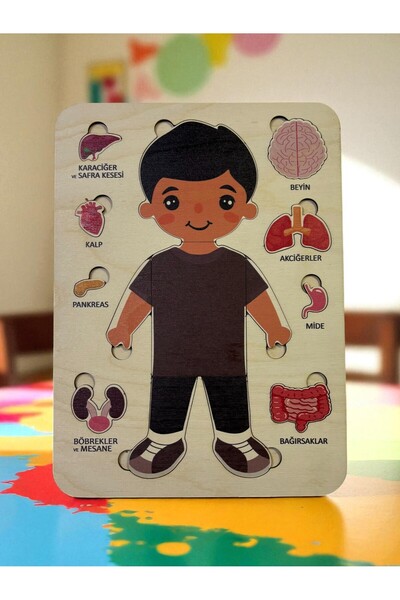 Mind of Toys Wooden Human Anatomy Puzzle, Boy, Layered Jigsaw, Montessori Bod...