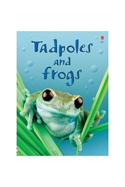 Usborne Book "Tadpoles and frogs", 4 years+,