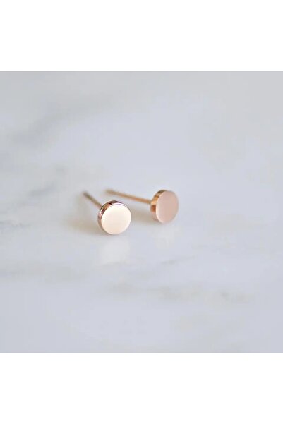 Produse.Top Cercei fashion din otel inoxidabil placat cu aur roz de 14 K form...