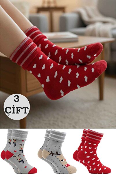 BENİSA ÇORAP Women's Towel Cotton Winter Socks Multi-Colored 3-Pack