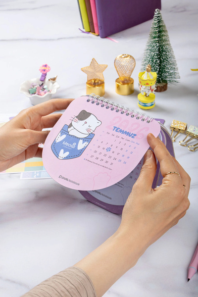 DİVAL 2026 Kedili Hacıyatmaz Masa Takvimi - Meow Kedi Serisi