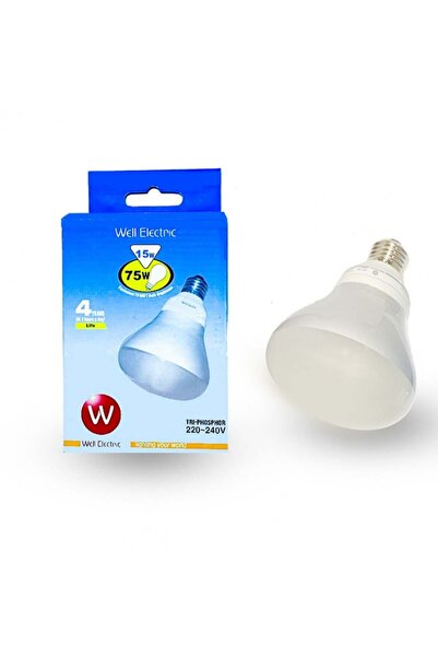WELL ELECTRIC WELL R 80 15w 220v E27 DL Capsule, 5 capsules