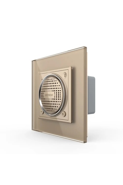 Livolo Bluetooth Speaker with Glass Frame, Gold, VL-FCF-2AP-13