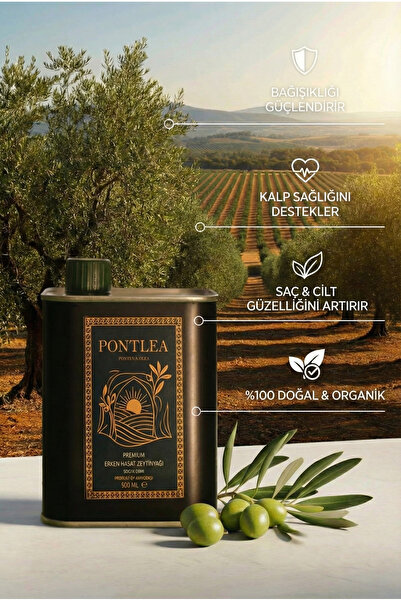 Pontlea Premium Erken Hasat Soğuk Sıkım Zeytinyağı 500 ml (Teneke Kutu)