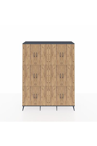 Dienni Hyperion Gardrop 10 Raflı 12 Kapaklı 176x44x221 Antrasit-Çam