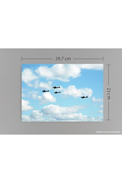 VreauPoster Poster A4 Avion Chipmunk DHC-1, Zbor Acrobatic Vintage, Festival ...