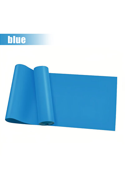 Choice Blue Resistance Bands for Working Out,Free Elastic and Exercise Bands ...