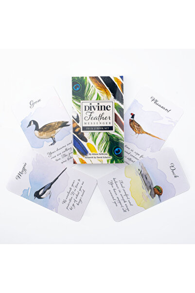 Choice TN28N 10.3*6cm Divine Feather Messenger 44 Oracle Cards English Vision...