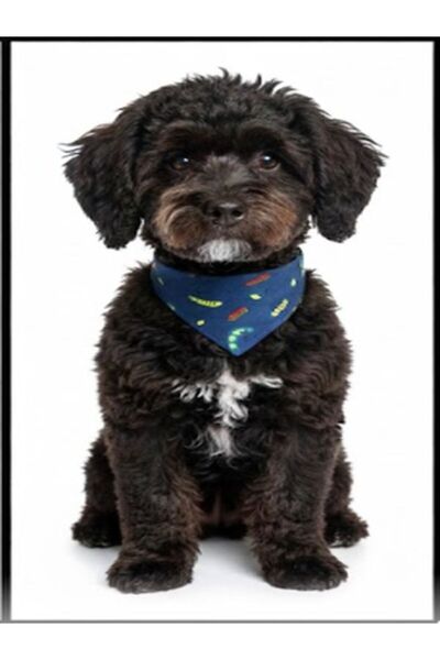 flypet Tirtil Desen Fular Kedi̇ Tasma & Yavru Köpek Tasma 13Cm-24Cm