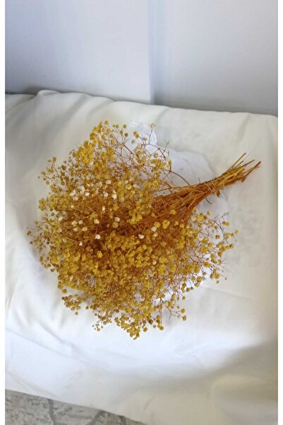 Birlik Cipso Şoklanmış Sarı Doğal