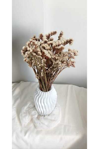 Birlik Statis Şoklanmış Kuru Bitki