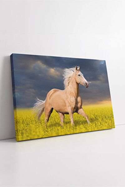 KOSS Dijital Cai care alergă într-un câmp de flori galbene, peisaj natural, d...