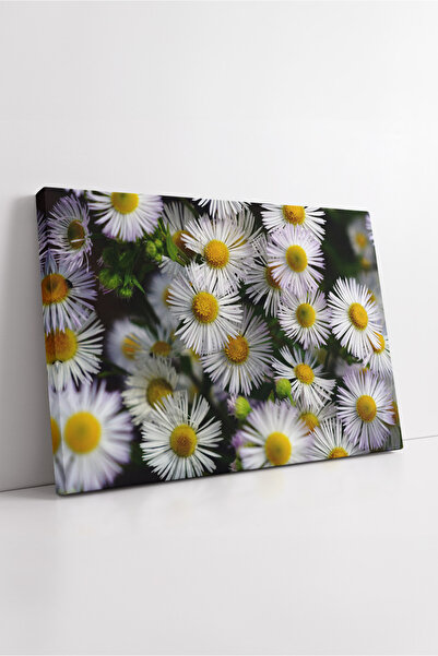 KOSS Dijital Pictură decorativă pe pânză cu margarete naturale, care se adapt...