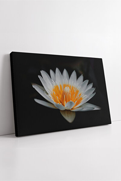 KOSS Dijital Εικόνα σε καμβά με λουλούδια λωτού σε μαύρο φόντο Μοντέρνα μινιμ...