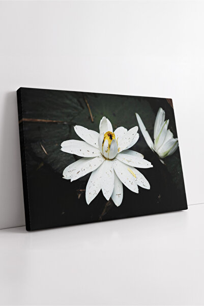 KOSS Dijital Tablou decorativ din pânză cu tematică de flori naturale minimal...