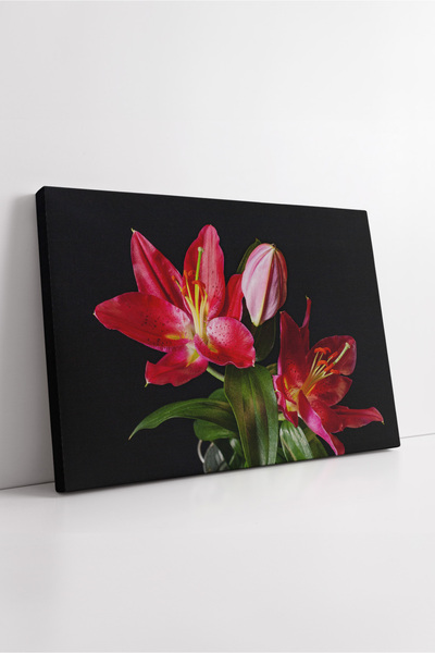 KOSS Dijital Pictură decorativă modernă și elegantă pe pânză, care reflectă e...