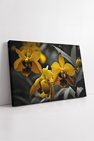 KOSS Dijital Черно-бял фон със златистоцветно орхидеено цвете за впечатляващ ...