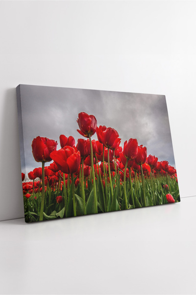KOSS Dijital Pictură pe pânză cu câmp de lalele roșii, peisaj natural, unghi ...