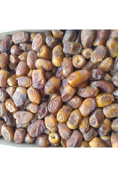 KAYISICENTER Toptan Medine Sukkari Taze Hurma 10 Kg