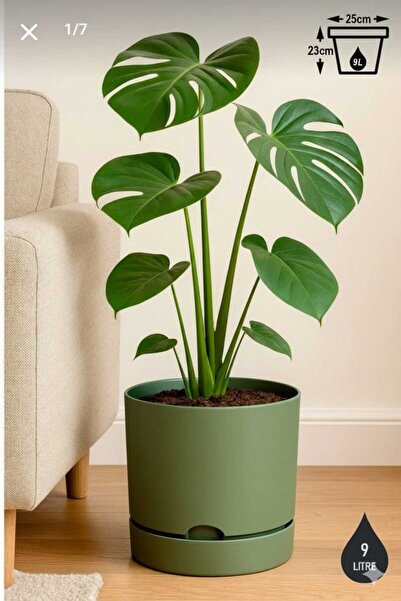 polivahome 9 Litre Yeşil Begonya Saksı Tabaklı Dekoratif Mat Plastik Saksı