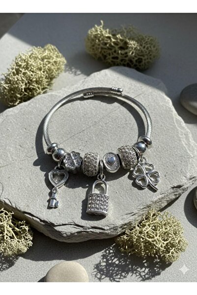 Çağla Accessories Şans ve Aşkın Senfonisi: Charmlı Çelik Bileklik
