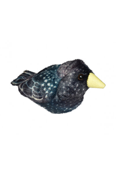 Wild Republic Graurul cântă pasărea - GRAUR