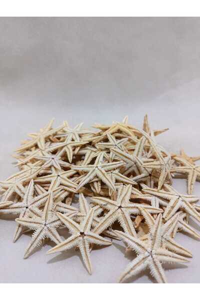 Royall Craft 25 adet Gerçek Deniz Yıldızı – Naturel 1-3 cm - Dekor, Hobi, Ter...