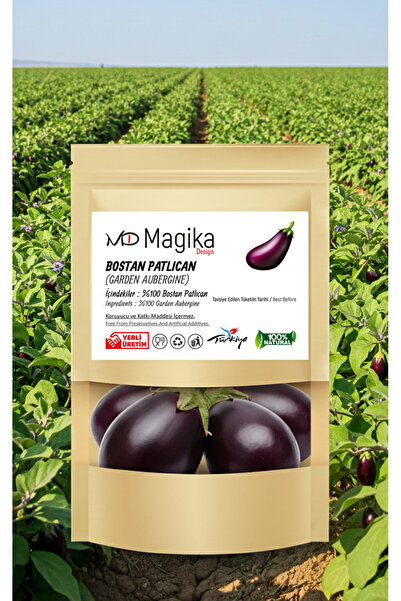 Magika Design Bostan Patlıcan - 1 KG - Taze Hasat - Yerli Üretim - %100 Doğal...