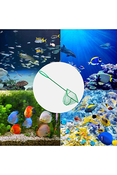 Arthurs مغرفة أسماك الأكواريوم 10 سم.