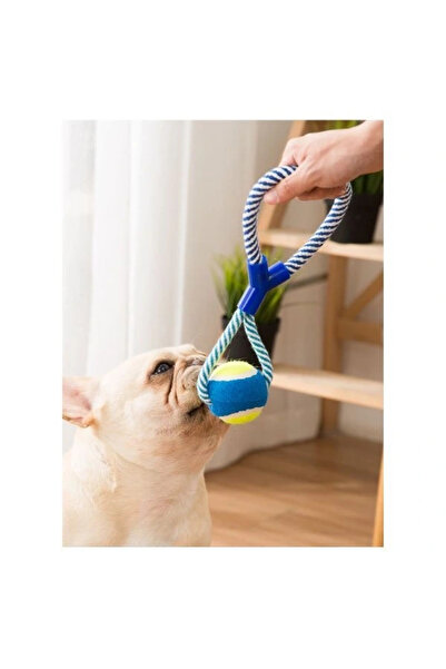 lowell home Dog Chewing Ball with Rope