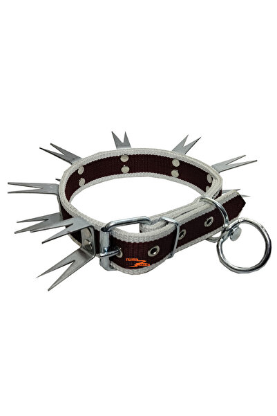 yıldırım nalbur KÖPEK TASMASI HASIR DİKENLİ TASMA ÇİVİLİ TASMA BÜYÜK BOY