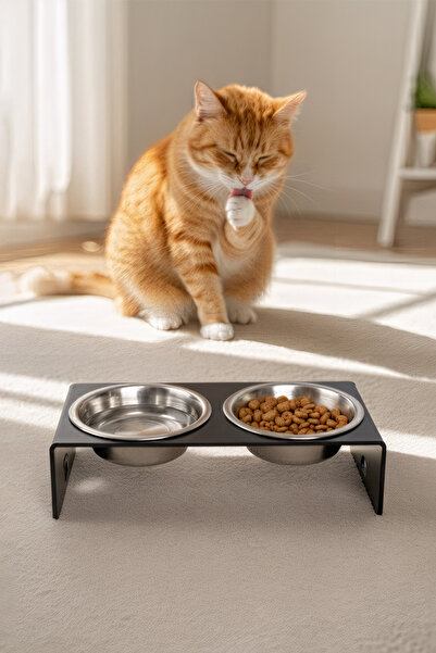 GOBYPET 2'li Siyah Pleksi Kedi Ve Köpek Seramik Mama & Su Kabı Paspas Hediye