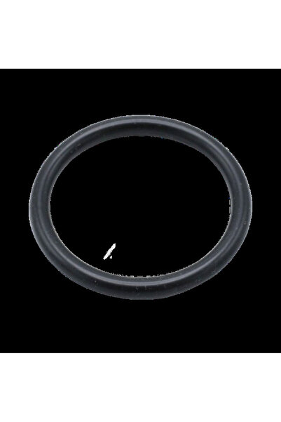 DELONGHİ O-ring seal