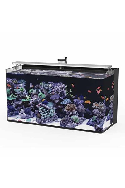 Haqos Sea Tank 60 Tuzlu Su Akvaryumu 50Lt