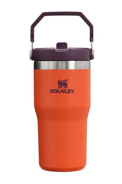 Generic Stanley IceFlow Flip Straw Tumbler with Handle 20 oz - Tigerlily Plum