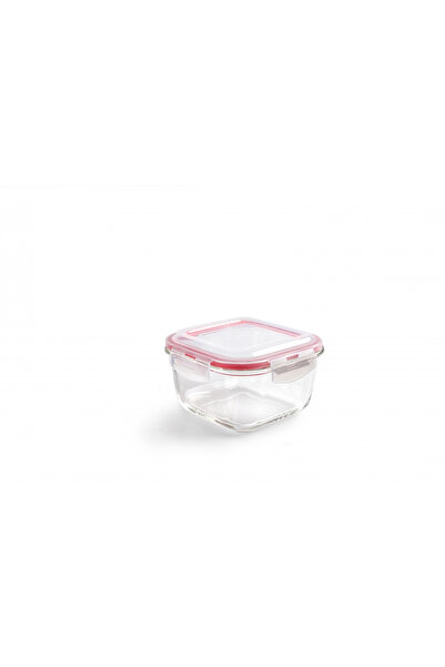 iBiLi Caserolă alimentară din sticlă borosilicată, 16x16x9,5 cm, 1 l, transpa...