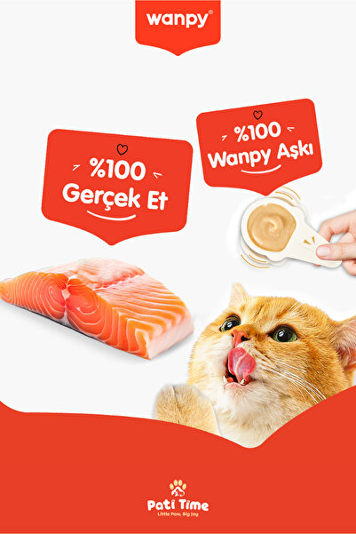 Wanpy 2li Set - Somonlu & Tavuklu Tahılsız Kaşıklı Kedi Ödül Kreması Kedi Ödülü 20 x 16gr