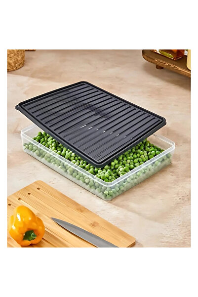bigmate 4-Piece Transparent Storage Container Black 4X2.5 Lt Bgmt2525 Microwave, Refrigerator and Freezer Compatible