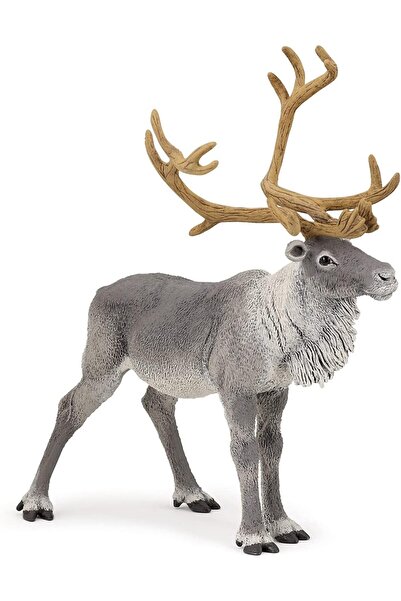 Papo مجسم حيوان الرنة من مملكة الحيوانات البرية، رقم 50117، متعدد الألوان